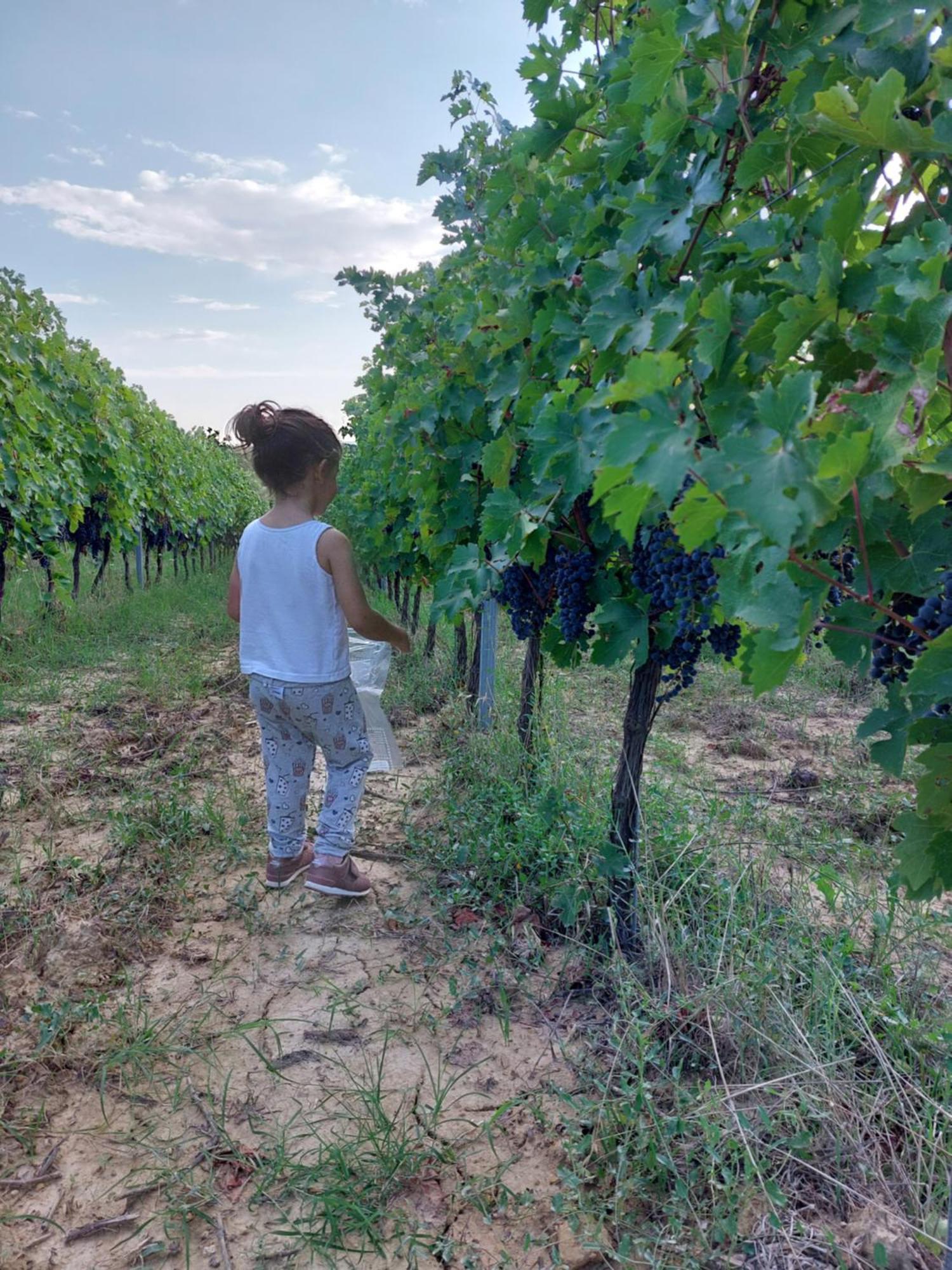 Séjour à la ferme Corte In Poggio