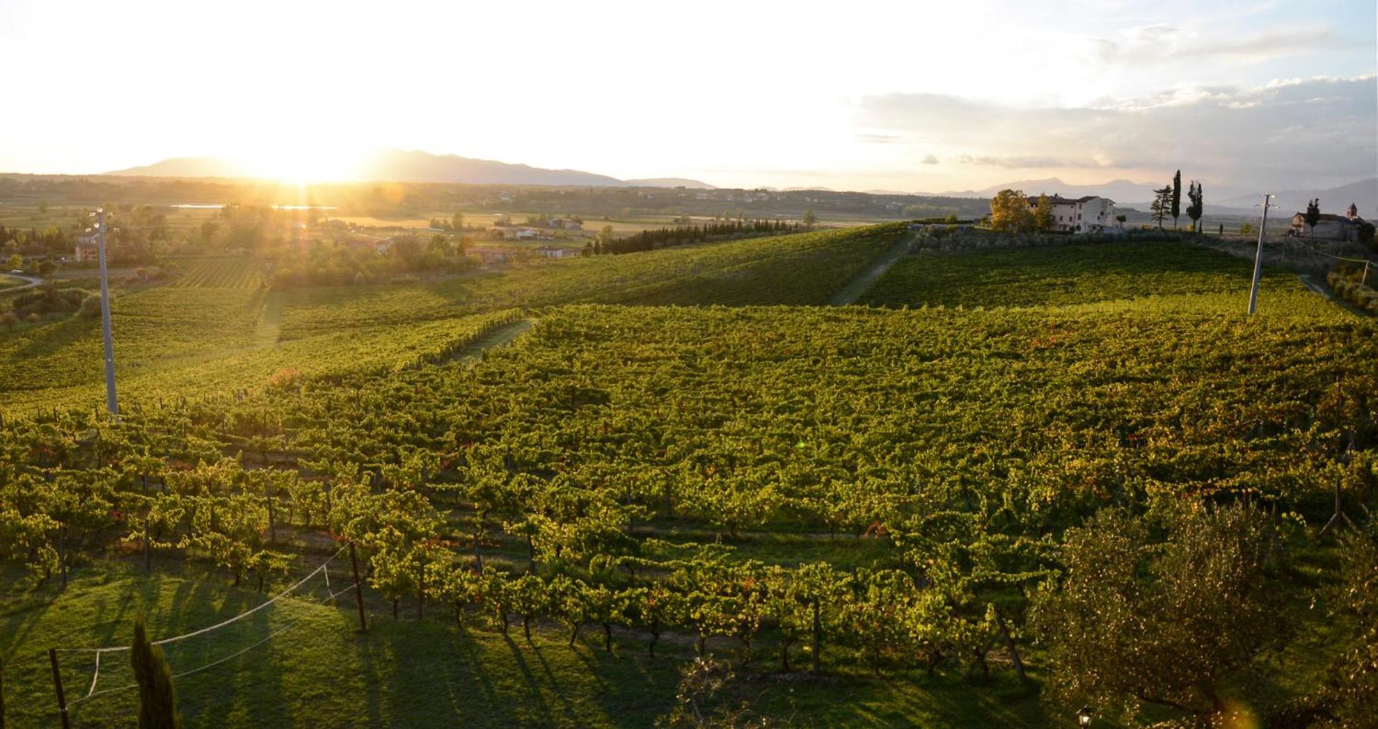 Séjour à la ferme Corte In Poggio