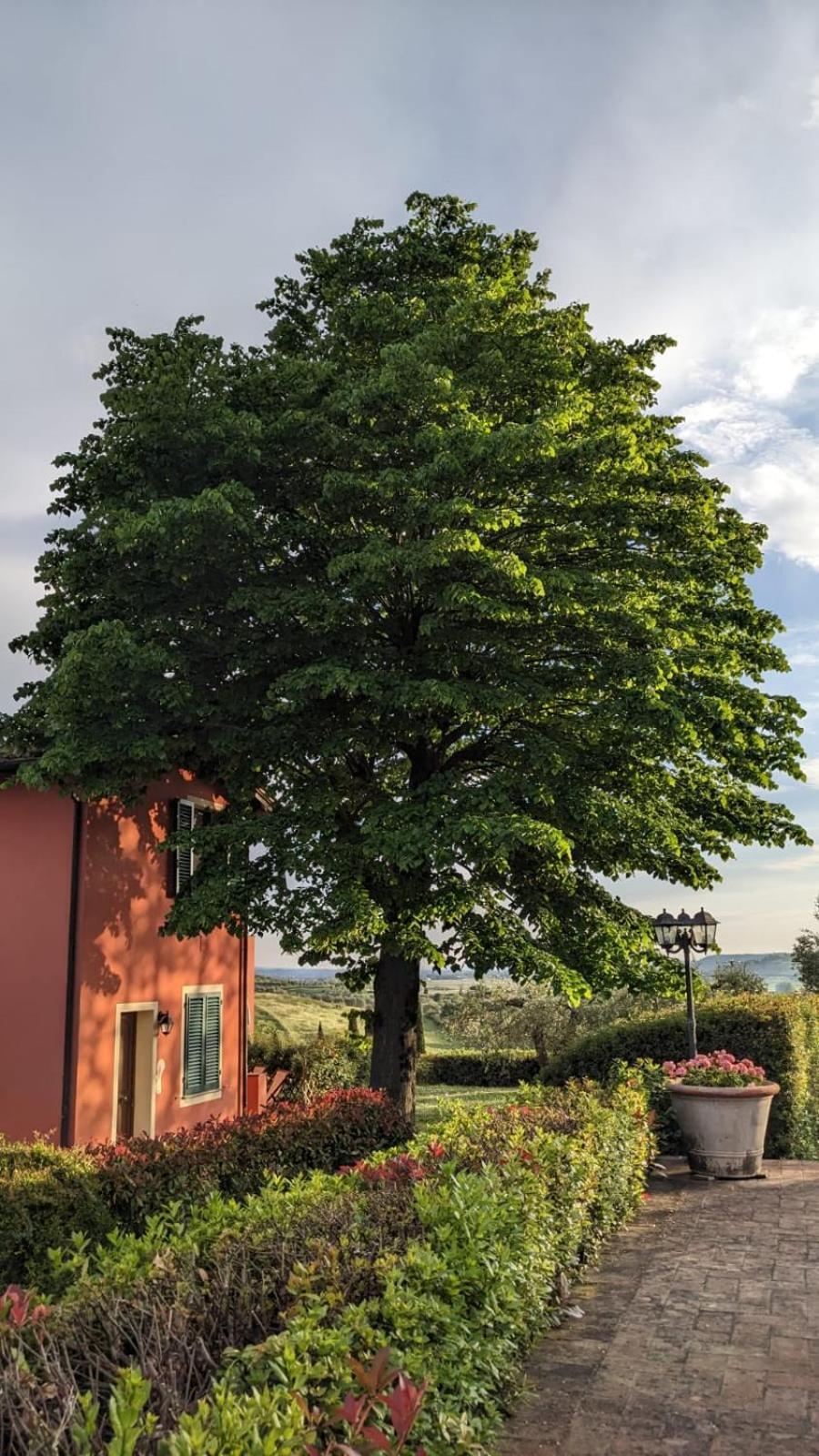 Séjour à la ferme Corte In Poggio *